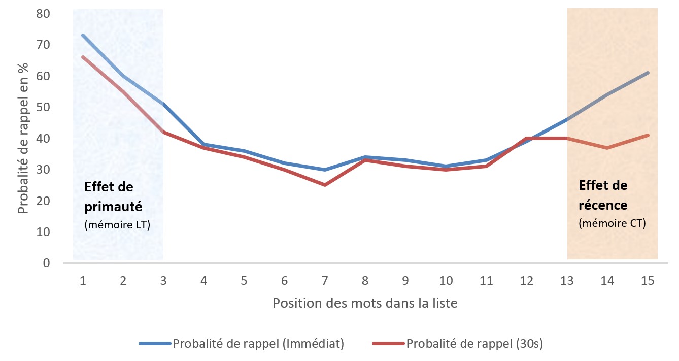 Effet de recence et primauté